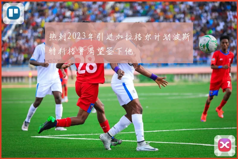 热刺2023年引进加拉格尔计划波斯特科格鲁渴望签下他